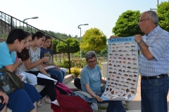 11542012_1474147462883531_9217250130322049600_n