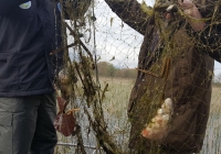 17796482_1463467173694781_268438742476113962_n