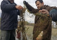 17862556_1463467040361461_2982025485915200989_n